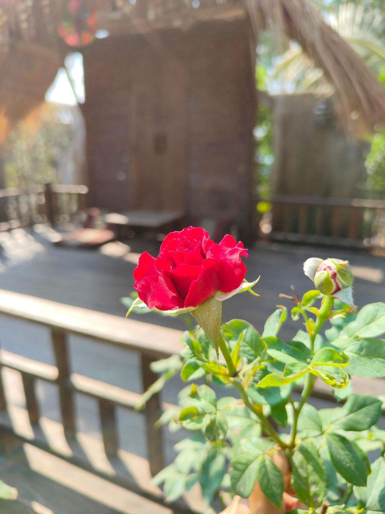 Smilingface Guesthouse Sukhothai Dış mekan fotoğraf