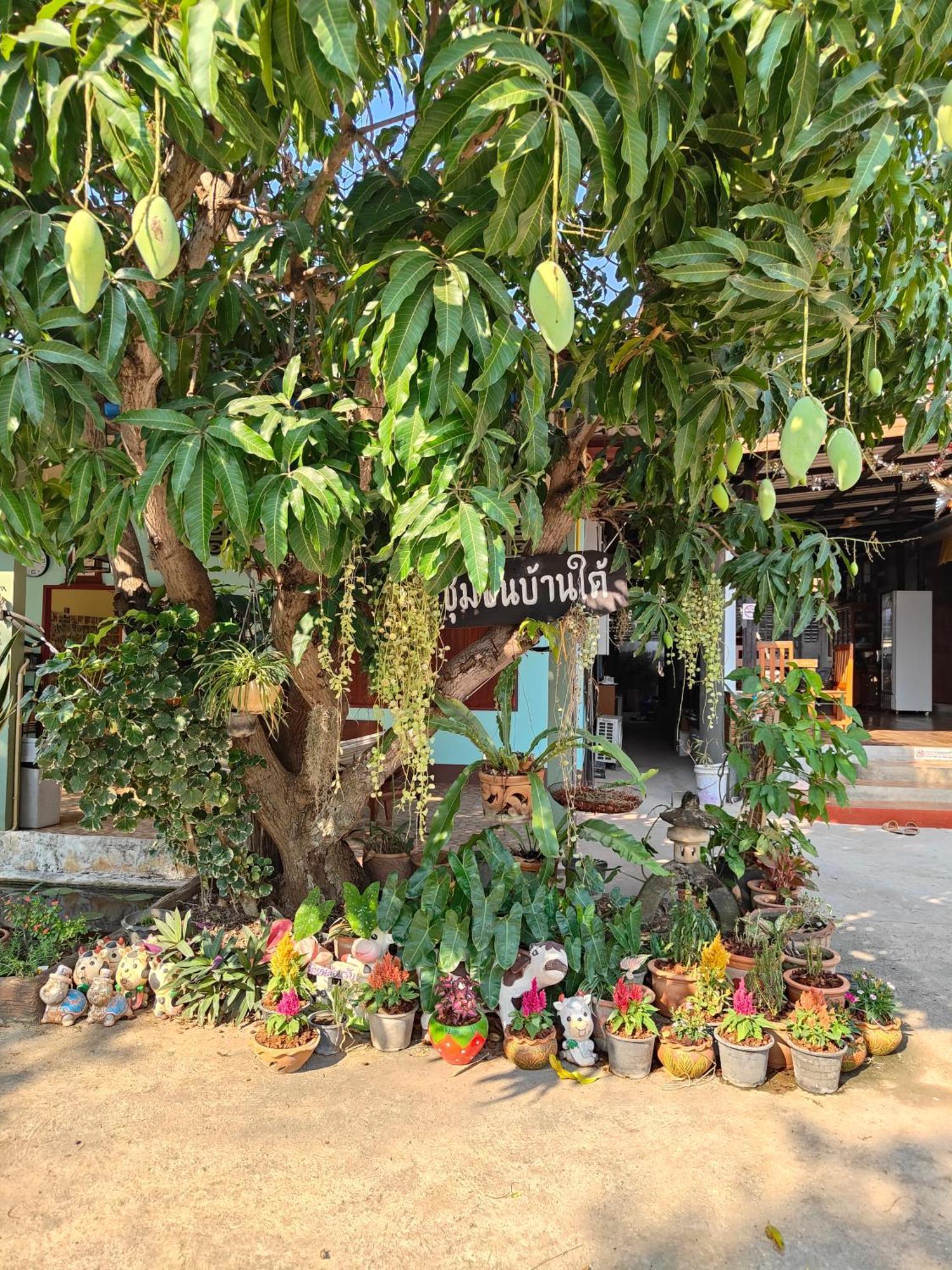 Smilingface Guesthouse Sukhothai Dış mekan fotoğraf