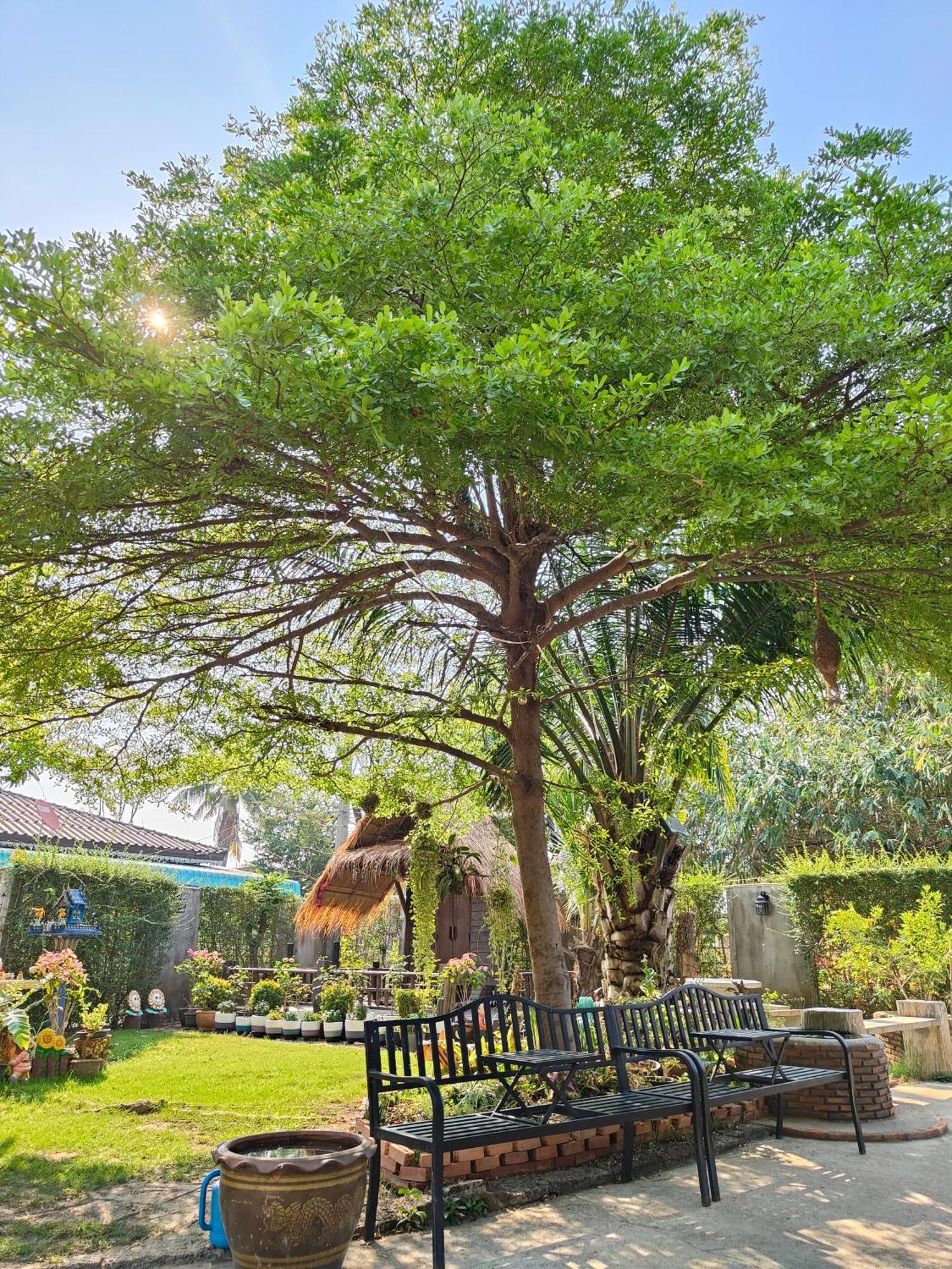 Smilingface Guesthouse Sukhothai Dış mekan fotoğraf