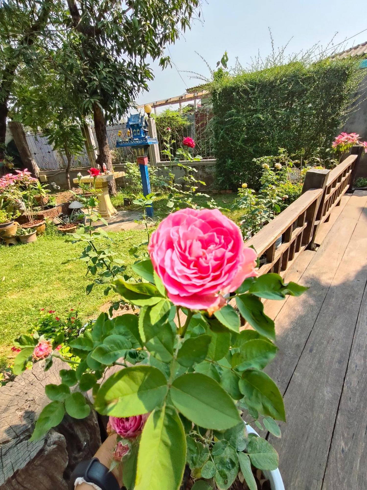 Smilingface Guesthouse Sukhothai Dış mekan fotoğraf